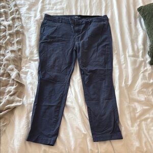 Blue Grey Ankle Pants - Great for Work Size 14